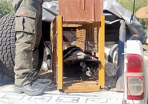 52853555444_b7935e27a3_b