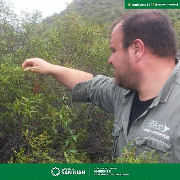 150893082_2950994261802423_2514427665151632633_n