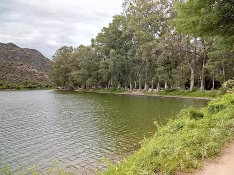 FB_IMG_1586308251562