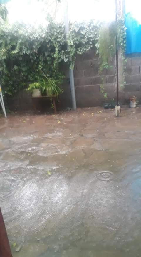 FB_IMG_1581980108317