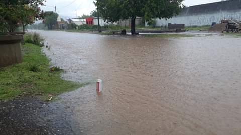 FB_IMG_1581098664650