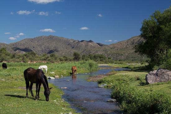 en-camino-a-la-finca