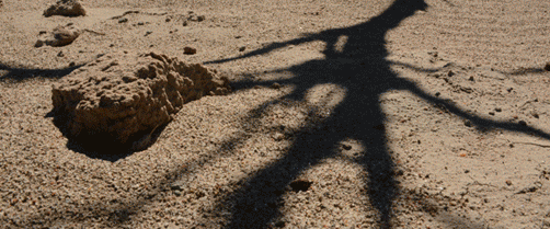 publicidades.imagen.b1f04fd82827a15f.696d6167656e2e676966