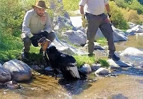 52853555439_c81229b382_b