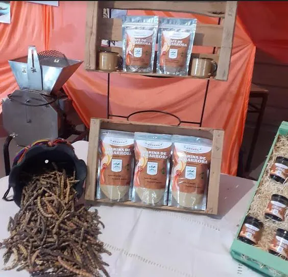 52903800584_4c876f77e6_b