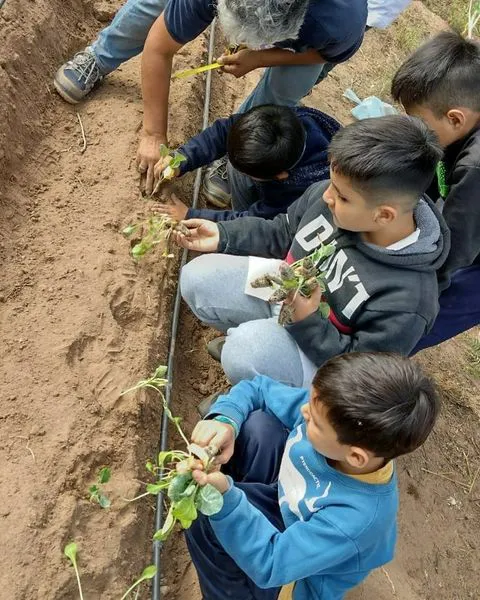 350013030_642742497264256_9041898706067427117_n