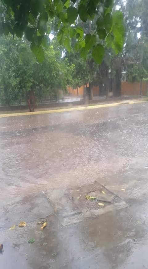 FB_IMG_1581980105221