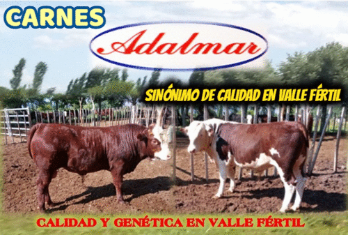 picasion.com_5032dc06a150558998c67267cdf1bfaa- Gif grande