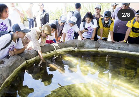 Screenshot_20200211-213804