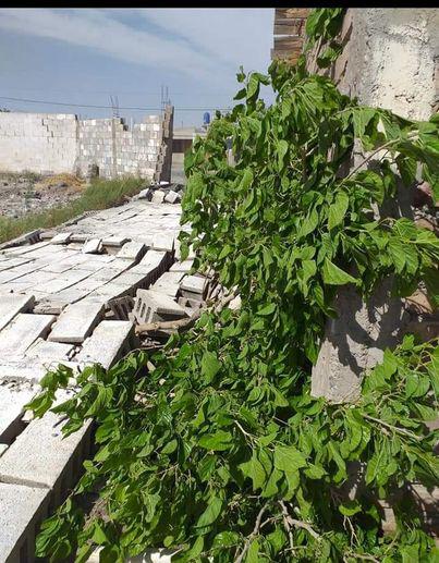 120234152_3781090681920541_6633949693929141500_n