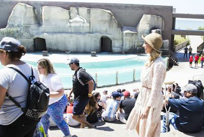 Screenshot_20200211-213758