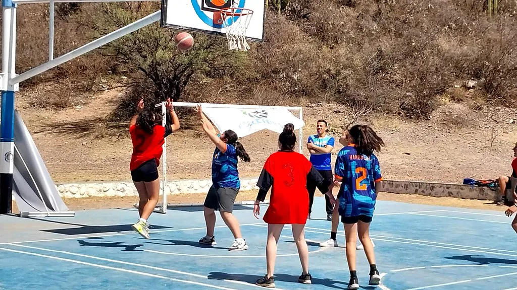 53201337478_f950085bb2_b