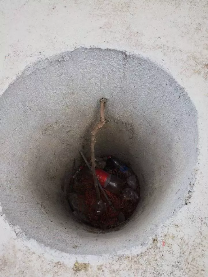 342852709_799423954936811_318525220584505547_n