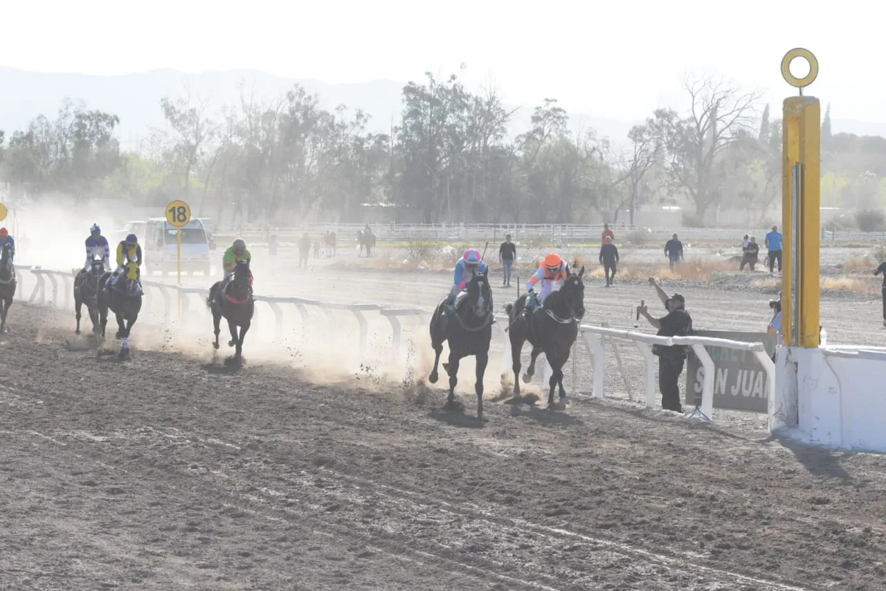 whatsapp_image_2022-09-11_at_17_51_05