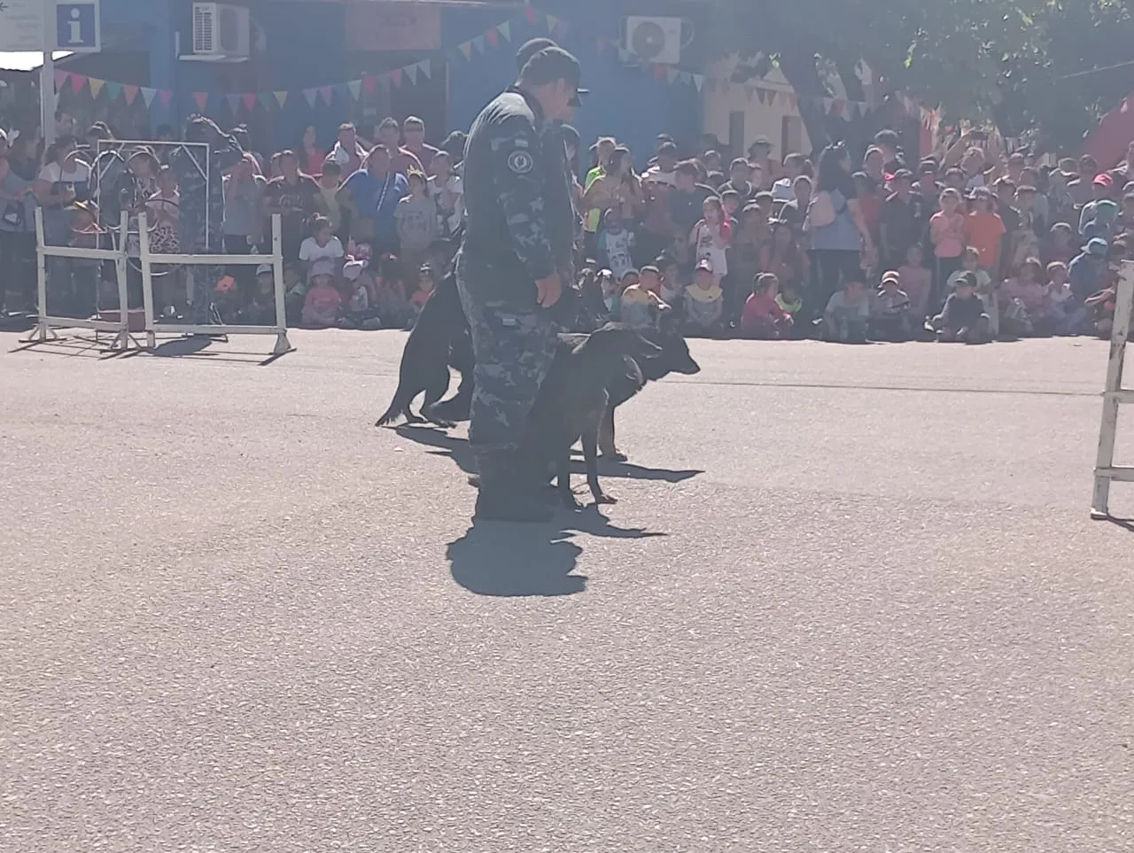 e13b6bf8-0537-4b4d-9151-878992b1263c