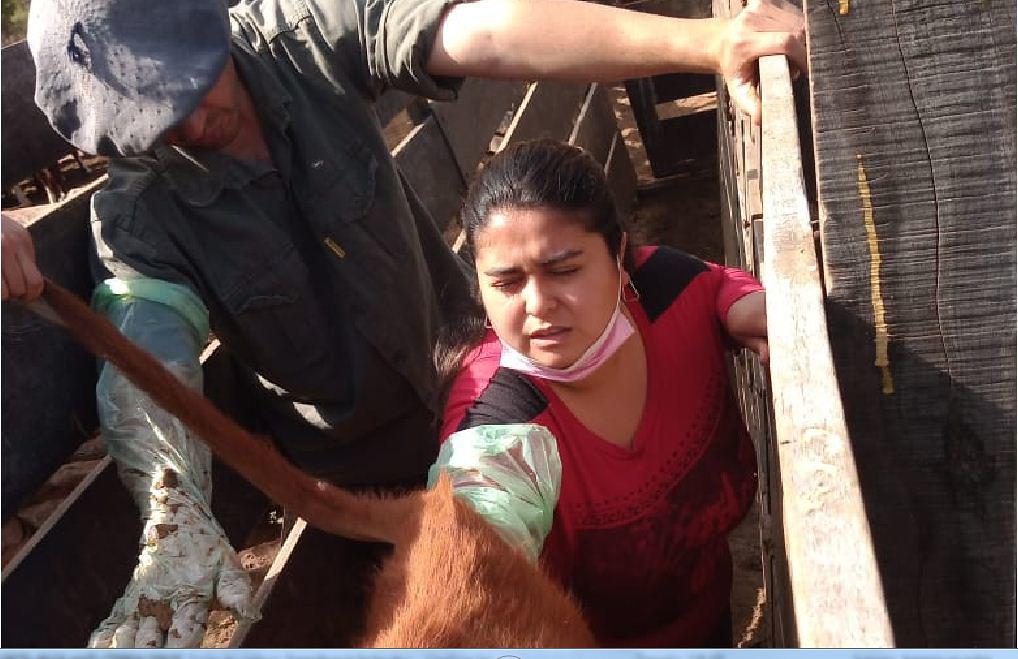 51646635100_89f66dee08_b