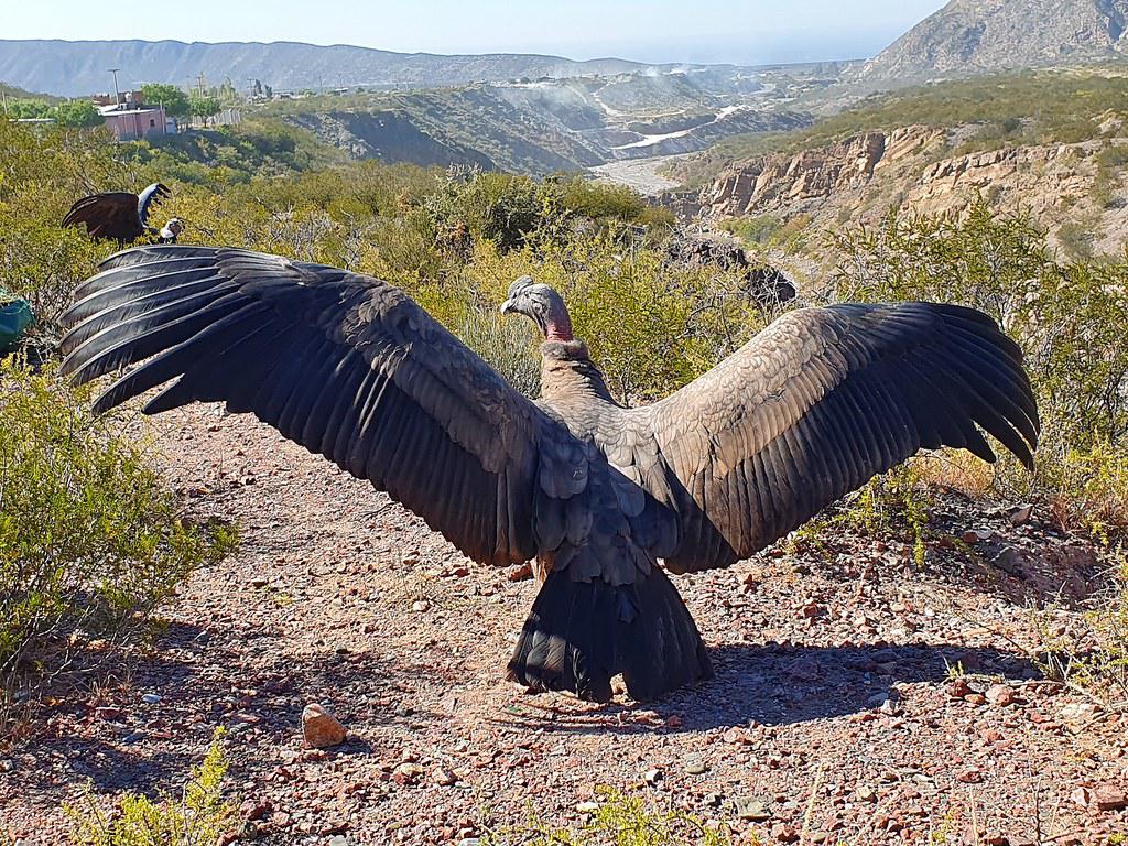 51347192545_3998715687_b