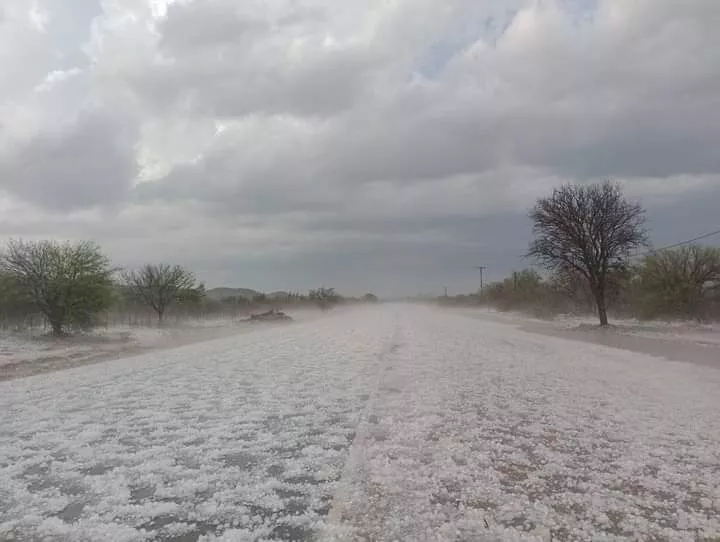 FB_IMG_1668295368553