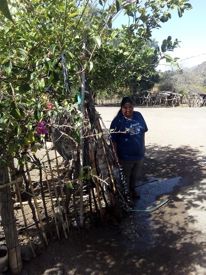 236580839_655722958721404_2074147087049222275_n