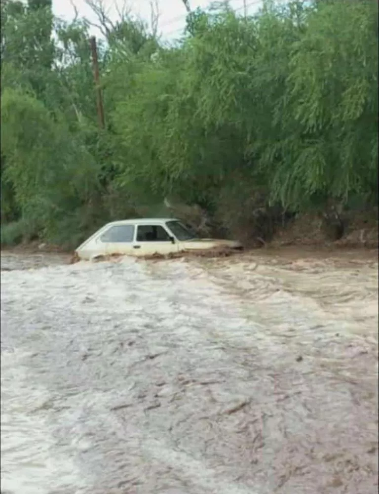 f768x1-332033_332160_5050