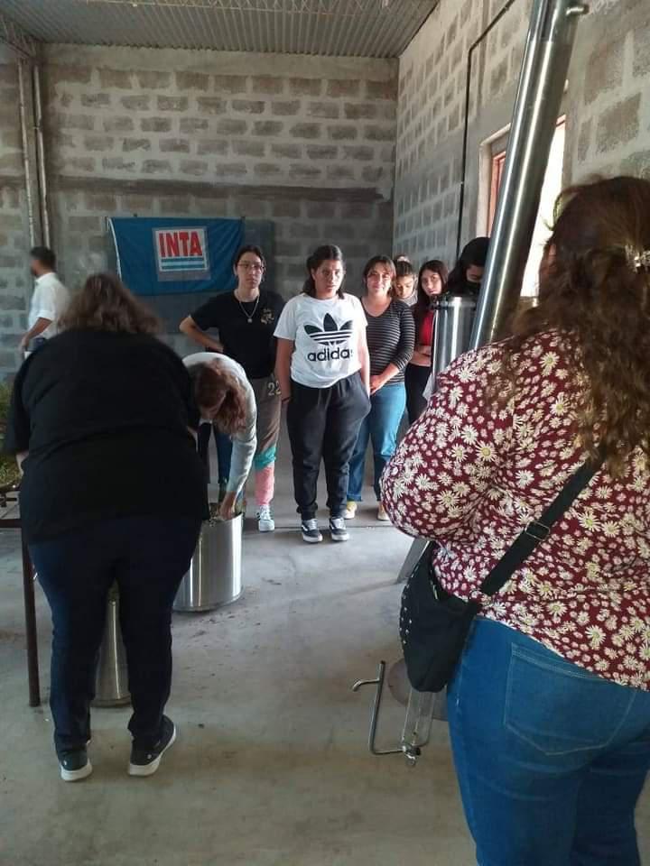 FB_IMG_1651428614648