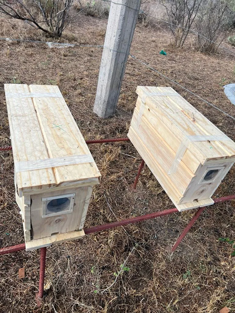 406371752_839771324606115_5109630992506838673_n