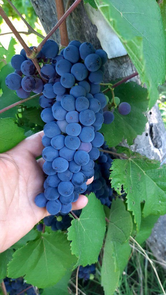 20220122_180312-rotated-e1645026798831