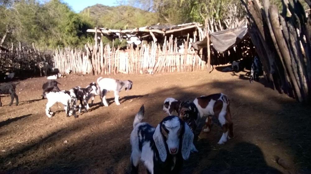 11143299_1599013127005551_3374688331565521981_o