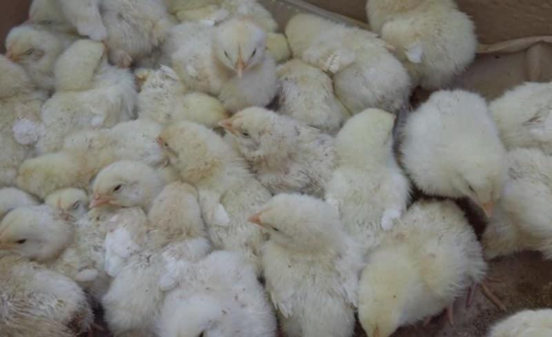 246008798_4540134229363080_4456143996339518622_n