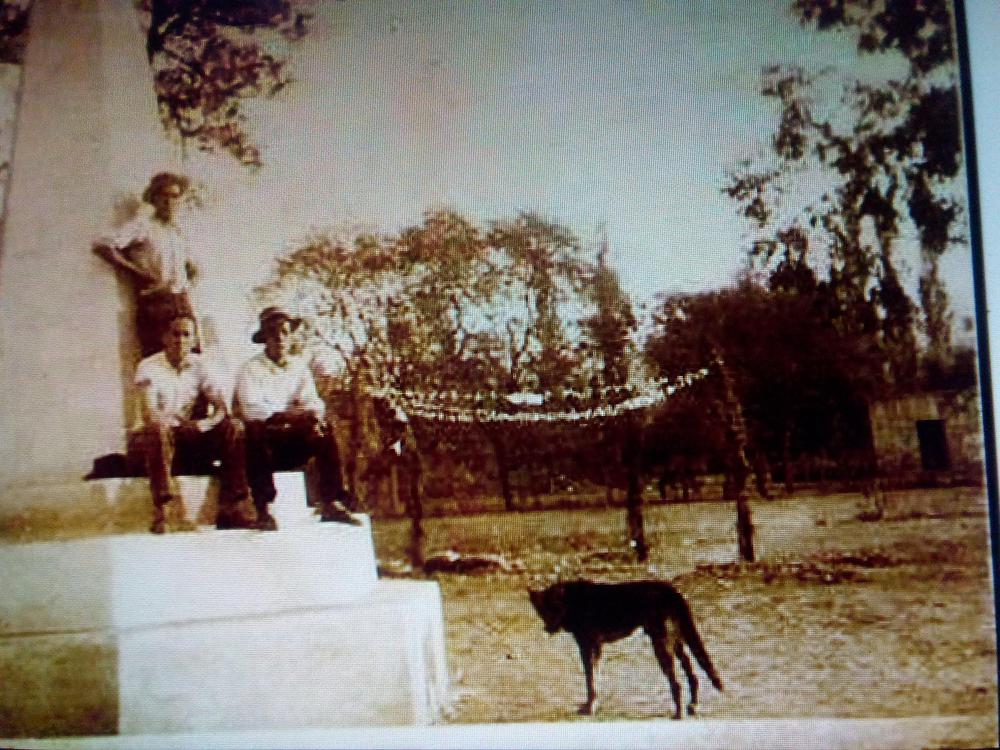 241216690_534747774498742_1643089338913614012_n