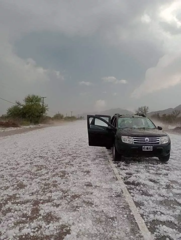 FB_IMG_1668295409385