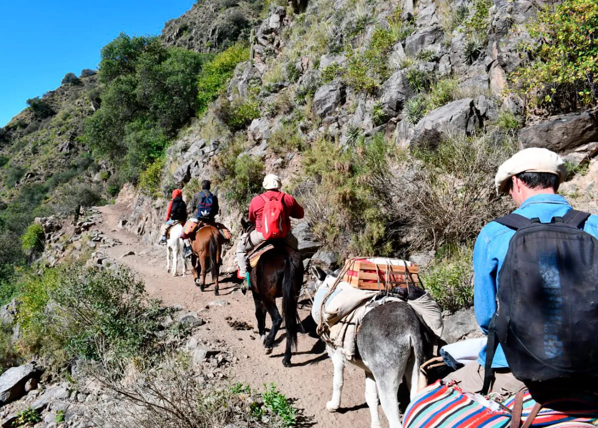 352519256_566614078993951_6986518909943849926_n