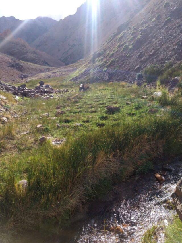 1642112756630-640x853