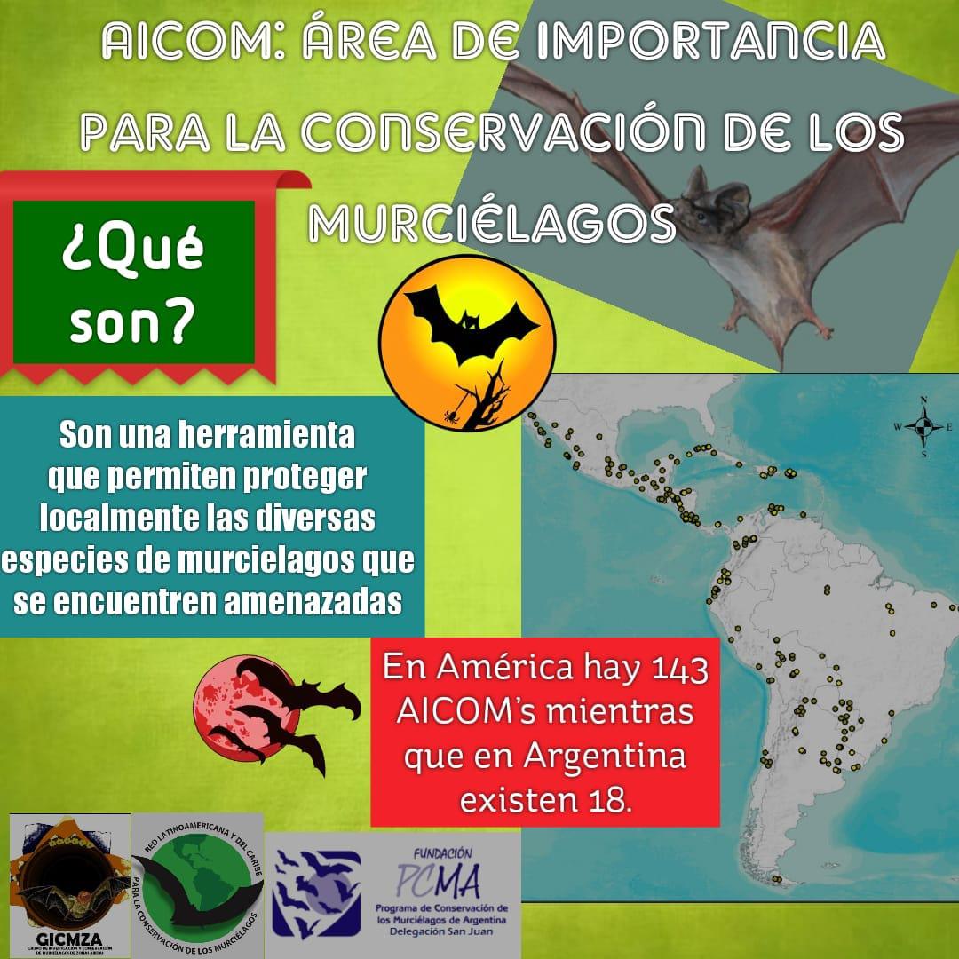 244253389_416891986629414_7426409312808306639_n