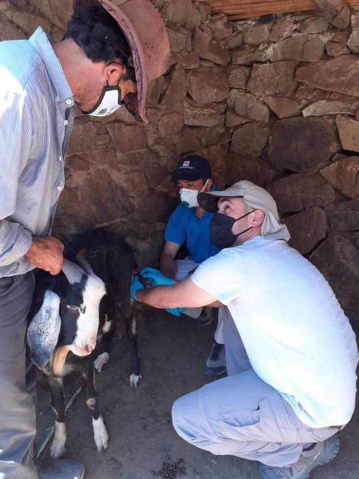 FB_IMG_1608071816963