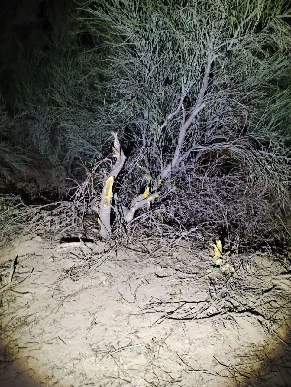 multimedia.normal.b2800dca1e4db4cc.ZDgwY2M1YjktZDM0ZC00OGQ2LTkyZjQtYzA1OGNlMThfbm9ybWFsLmpwZw==