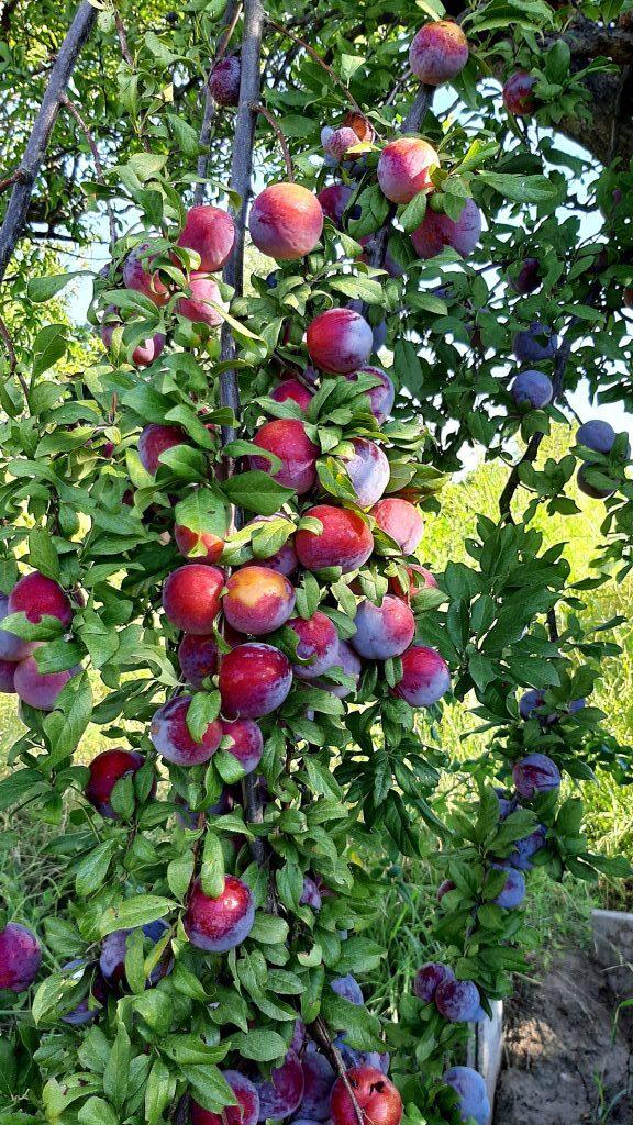 20220122_180801-rotated-e1645027200608