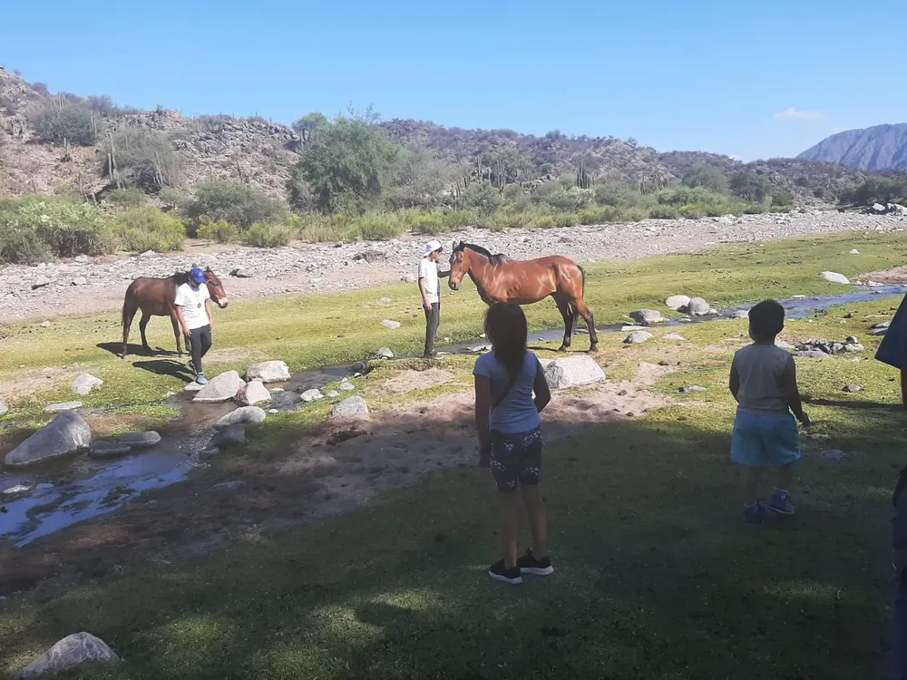 b339283b-ee97-4b7c-8a91-e926db03c0b5