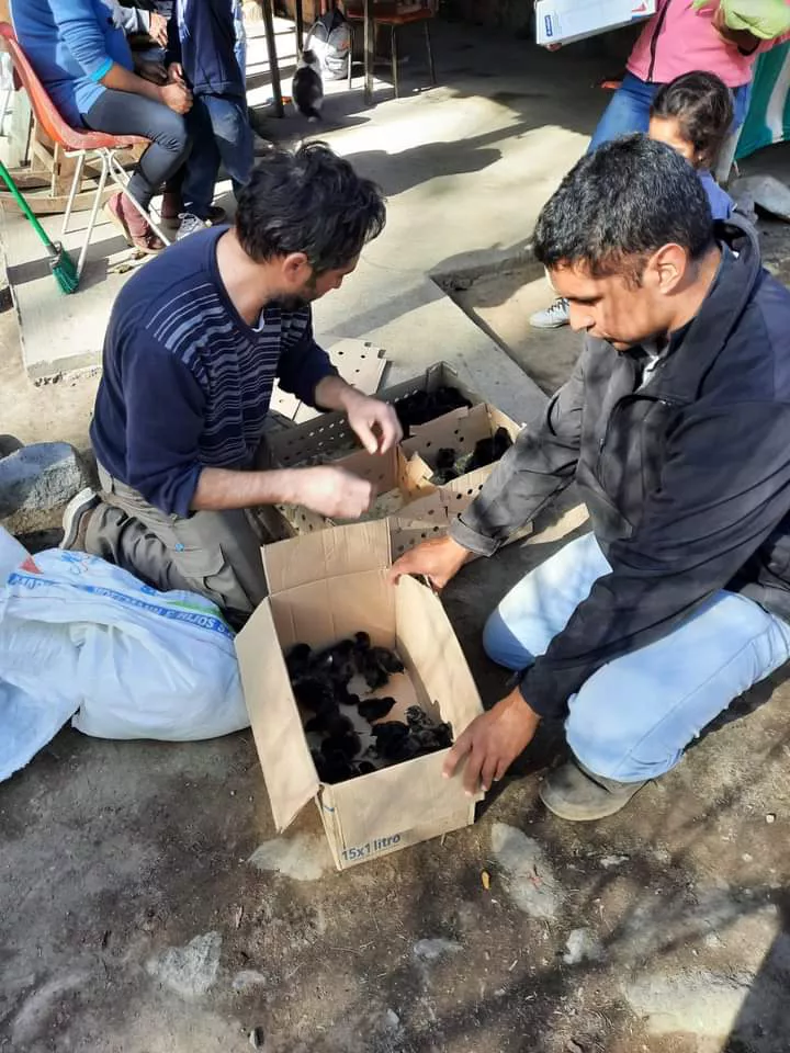 FB_IMG_1657037719777