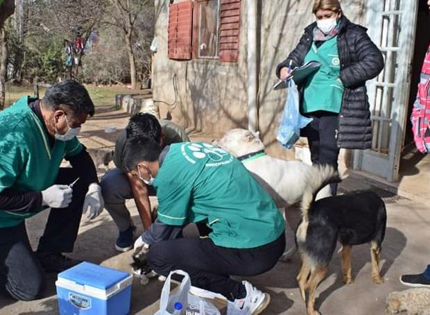 240245344_4370270069682831_1969001368271362582_n