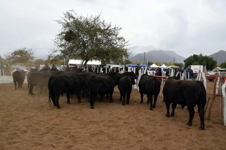 FB_IMG_1653939061523