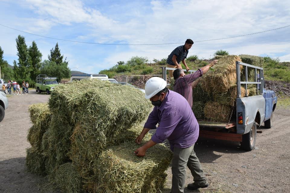 142858930_3759329294110248_826137014079377832_n