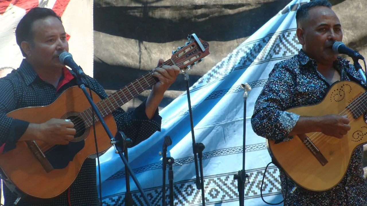 315401990_135996015900782_7945745765086185322_n