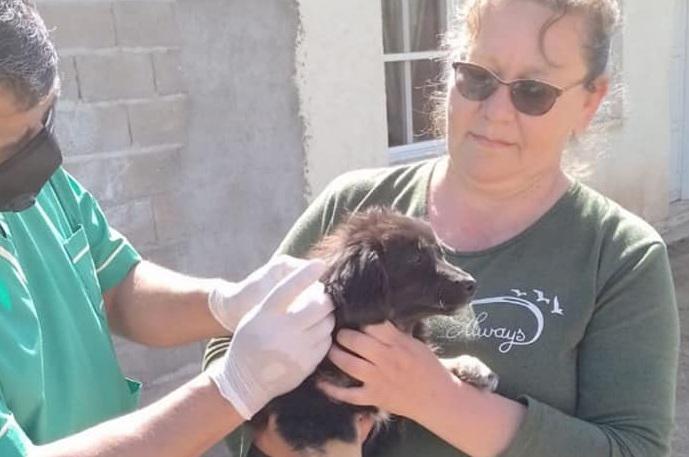 243197905_4476018279108009_406693736175988767_n