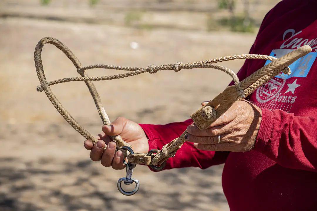 245947267_388673002911233_2095492893620466009_n