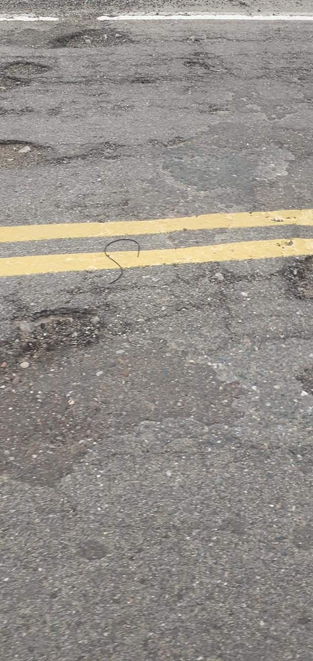 FB_IMG_1614117100625