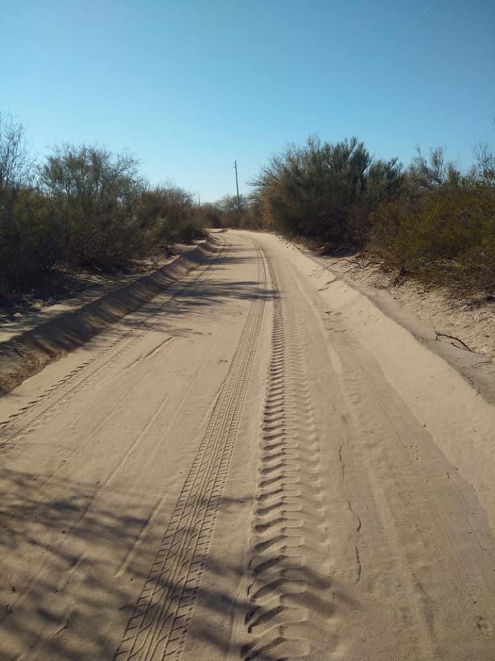 116334959_3240130842696765_6002501161276255741_n