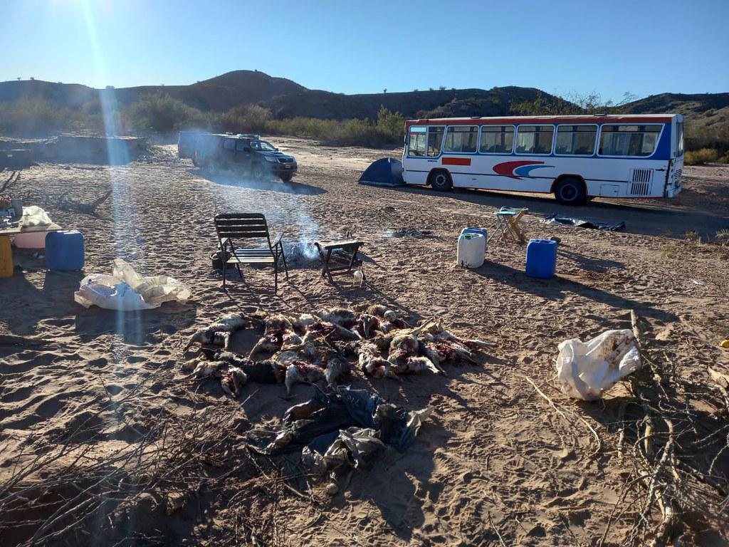 51278011389_997f7b068c_b