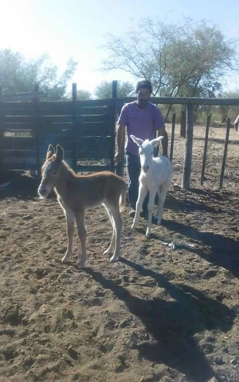 FB_IMG_1589303965889