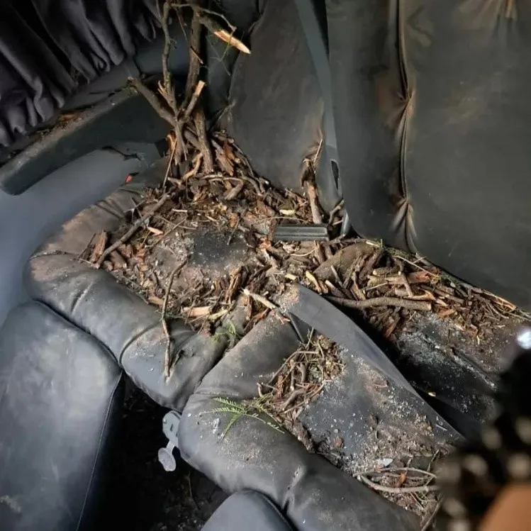 c5ecd3e3-5752-4120-8f26-9cba56224f0d.jpg_510727307